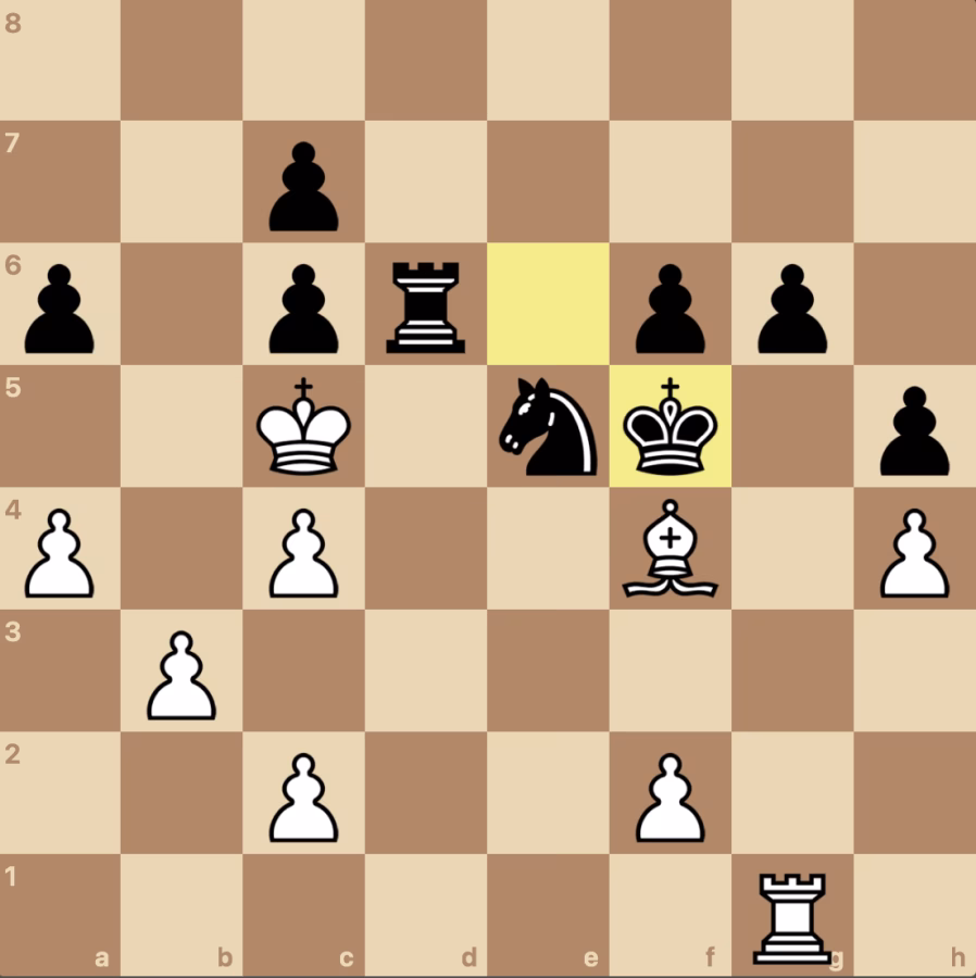 posicion schnaider pichot